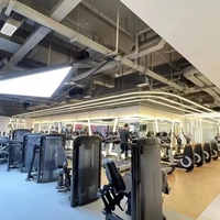 Máquina de Entrenamiento de Espalda Recta para Moldear Toda la Espalda, Equipo de Fitness Comercial Premium para Gimnasios