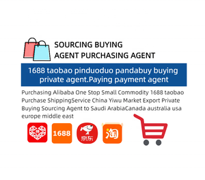 Agente de Envío Aéreo Rápido + Express DDP, Servicio de Logística Puerta a Puerta, China Europa/Reino Unido/Francia, Soporte 24/7, Tiempo de Tránsito de 7-12 Días - Product Image 6