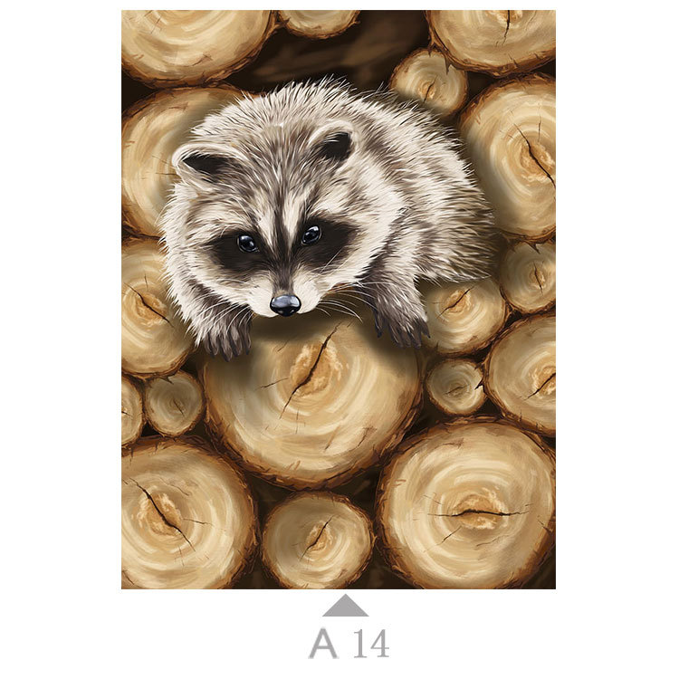 Multicolor-A14