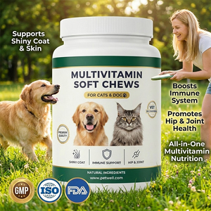 חטיפי לעיסה רכים רב-ויטמינים לכלבים וחתולים, מותאמים אישית לפי דרישת הלקוח (OEM/ODM), עשירים בחלבון, עם אבקת קרייל, לתמיכה חיסונית. - Product Image 1