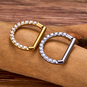 Anello per naso in titanio ASTM F-136, orecchino a cuore Daith, anello a cerchio per cartilagine Tragus, anelli a elica a forma di D, cerchio a segmento incernierato con CZ trasparente - Product Image 5