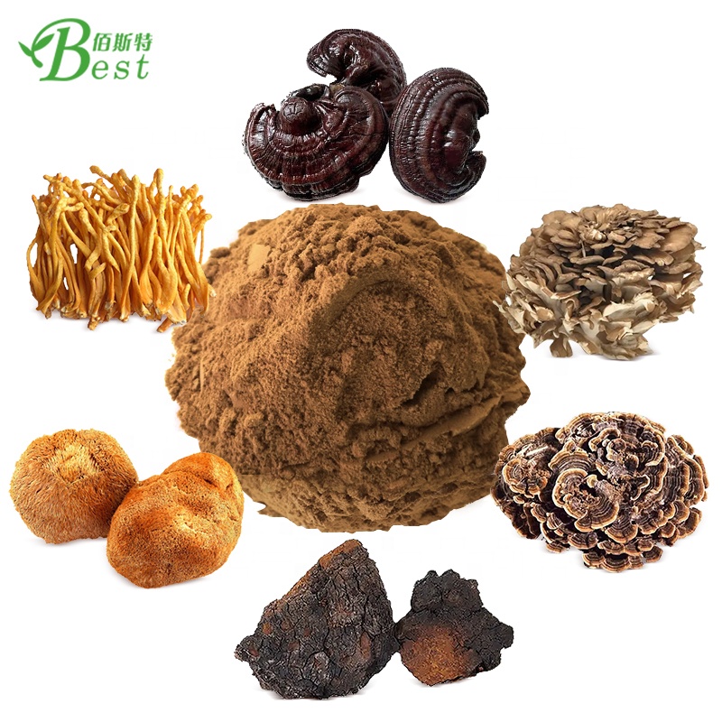 Powerful Mushroom Extract Powder Blend Lions Mane,cordyceps,reishi,chaga,turkey Tail,maitake Extract High Quality 6 in 1 Food