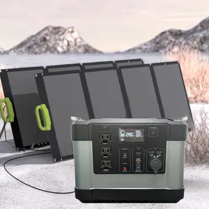 Outdoor Mobiele Voeding Ups 100V 220V Zuivere Sinus Draagbare Energie Opslag Systeem Voor Camping