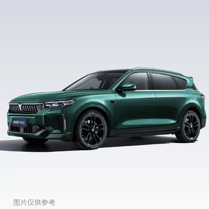 2024 Lan Tu Super Long Endurance Smart Driving Edition media e grande SUV usato Made in China