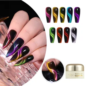 9 Couleurs Flocons Cat Eye Gel Rouge Cateye Gel Réfléchissant Polish Set Couleur Quicksand Cat's Eye Gel