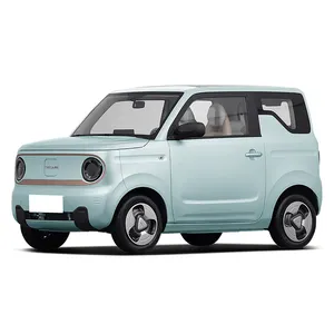 2024 dành cho người lớn dễ dàng longteng phiên bản tự động năng lượng mới mini xe geely Panda mini EV