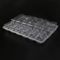 Boîte de transport en plastique PET transparent à 6 cavités pour plantes vivantes, emballage blister pour pépinière