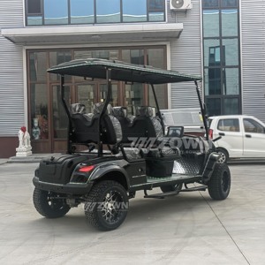 Voiturette de golf électrique tout-terrain durable à faible bruit pour campus et sites touristiques, plusieurs sièges en option, idéale pour les projets commerciaux - Product Image 3