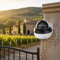 Caméra de sécurité PTZ WiFi sans fil avec projecteur, vision nocturne, détection de mouvement, étanche IP66, alarme pour entreprise et magasin