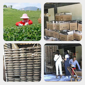 Свежий травяной освежающий чай с лотосом для элегантного послеобеденного чая способствует чистоте кожи и борется со свободными радикалами - Product Image 3