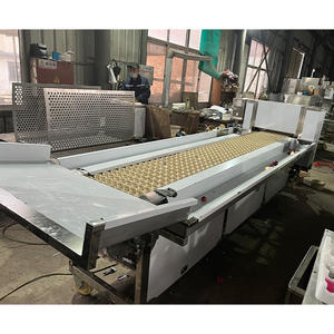 Machine à dénoyauter les abricots et les prunes, en acier inoxydable 304, capacité 500 kg, alimentée par moteur – Offre Spéciale - Product Image 5