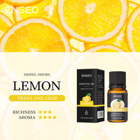 Recharge de désodorisant pour voiture en flacon de verre élégant, huile essentielle, 6 parfums, extrait pur de plantes, liquide de remplacement pour diffuseur d'aromathérapie