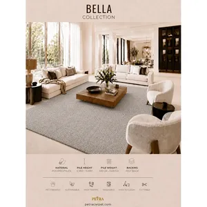 Alfombra de Polipropileno Gris Claro Petra Bella 90353, 6-11 mm de Grosor, Lavable a Máquina, Apta para Mascotas, Base de Fieltro, Cortable, Fácil de Limpiar - Product Image 1
