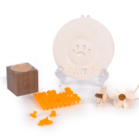 Kit de moule en argile pour chien et chat, avec lettre, souvenir