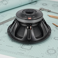 NR Caisson de basses en ferrite de 18 pouces 280 mm Bobine vocale de 5 pouces Passif Construction métallique AC Caisson de basses extérieur 8 Ohms 2000W Performance