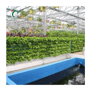 El más barato alto túnel Camarón invernadero hidropónico acuaponia sistema de cultivo pecera invernadero para peces y vegetales - Product Image 1