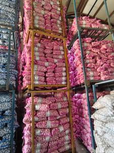 Sinofarm China Alho Fornecedor Orgânico Atacado Fresco Alho 2.7kg 3kg 10kg Malha Saco Ali Ajo Alho para o Mercado do Oriente Médio - Product Image 3