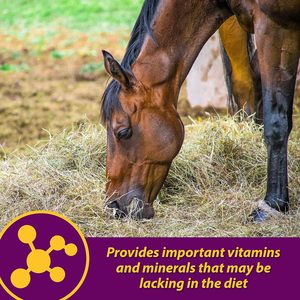 Custom LOGO Fluidflex <strong>Glucosamine</strong> HCl Liquid Joint Supplement <strong>for</strong> <strong>Horses</strong> Helps Maintain Healthy Hip Function 32 Ounces 32 Day - Product Image 3
