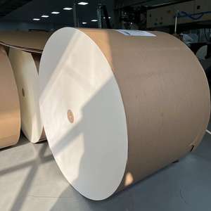 Ventes d'usine chinoises de papier couché PE en rouleau pour gobelets en papier et contenants alimentaires 230gsm 260gsm - Product Image 1