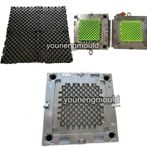 Plastic Drainage Plastic Paver Grass Grid Grass Grid Mould Supplier