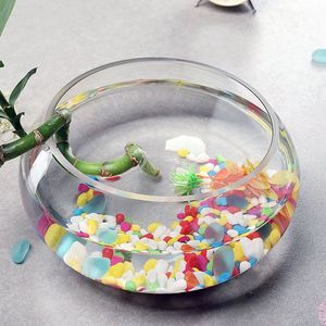 Petit aquarium en verre épais pour salon, transparent, adapté à un usage domestique, culture hydroponique de lotus, bureau - Product Image 2
