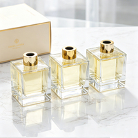 Bouteilles en verre givré vides de 200 ml pour diffuseur à bâtonnets, parfum d'ambiance et de chambre