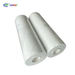 Cowint A1 Kích thước 60cm x 100m in Sticker A và B Holographic Polyethylene trong suốt UV chuyển cắt phim cho thủy tinh