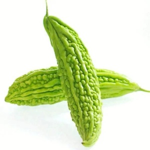 ผงเปปไทด์ขมจากแตงขมธรรมชาติผลิตจากโรงงาน98% ผงเปปไทด์รสขม - Product Image 3