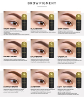Naturaless Lushcolor 34 couleurs semi-crème Pigments sourcils lèvres maquillage permanent pigment Encre de tatouage microblading perma blend pigment