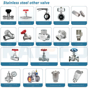 Bsp Npt G1/2 "-2" Inch Roestvrij Staal Mannelijke Draad Anti-Sifon Vacuümklep Voor Warm/Koud Water Of Ontluchtingsventiel Systeem - Product Image 6