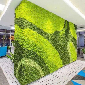 उच्च गुणवत्ता वाले pp इनडोर और आउटडोर प्लांटर्स को बगीचे और कार्यालय सजावट के लिए पत्थर टाइल के रूप की विशेषता वाले बगीचे और कार्यालय की सजावट के लिए किया जा सकता है। - Product Image 4