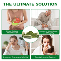 ArtoaLabs Kapsul Bubuk Daun Moringa Vegan 60 Kapsul Suplemen Herbal untuk Dewasa untuk Mendukung Kekebalan Tubuh & Meningkatkan Energi