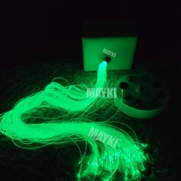 Kit de stimulation visuelle par fibre optique pour besoins sensoriels, lumières LED à fibre optique pour relaxation autistique