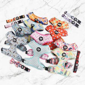 Arnés y Correa para Perro Antitirones, Juego de Collar de Perro Personalizado de Neopreno y Poliéster, Porta Bolsas para Excrementos, Corbatín - Product Image 6