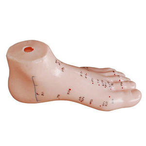 Modelo de cuerpo humano de acupuntura de alta calidad, modelo de pie de acupuntura china de 13cm - Product Image 2