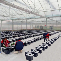 Système de culture aéroponique dwc pour la plantation intérieure à domicile Système de culture hydroponique complet pour jardin de tomates Seau hollandais