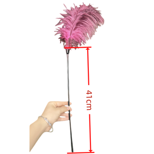 Toptan yüksek kalite yaprak şekli seksi tüyler SM seks oyuncakları flört kutup yetişkin Flriting oyuncak - Product Image 4