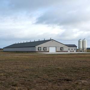 Stalla per Bestiame in Acciaio Antincendio e Anticorrosione per Allevamento di Bovini da Latte e da Carne - Product Image 2