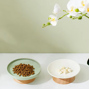 Bol pour animaux de compagnie en céramique, à hauteur différentielle, anti-basculement, pour la nourriture pour chats, lyophilisé, confortable pour la colonne cervicale, pratique pour manger, bol pour chiots - Product Image 3