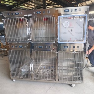 पेशेवर स्टेनलेस स्टील पालतू अस्पताल पिंजरे बॉक्स आधुनिक शैली ठोस डिजाइन कुत्तों 100 किलोग्राम क्षमता के लिए सुरक्षित पशु चिकित्सा उपकरण - Product Image 6