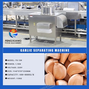 Línea de Procesamiento de Ajo de Acero Inoxidable 304 de Alta Producción (150-800 kg/h), Ecológica, con Peladora y Separadora, Suministro Directo de Fábrica - Product Image 2