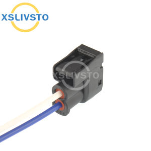 DJ70280Y-<span class=keywords><strong>2.2</strong></span>-21 Steker Kabel Harness 2 Lubang untuk Mobil - Product Image 4