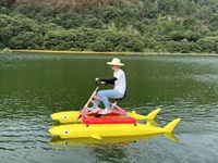 Vélo aquatique flottant en plastique pour deux passagers, idéal pour les jeux en plein air, à vendre