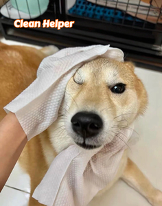 Lenços Naturais para Animais de Estimação Não Tóxicos Biodegradáveis Lenços Descartáveis Texturizados Personalizados para Cães e Gatos - Product Image 5