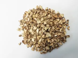 天然乾燥キノコ乾燥乾燥シイタケ茎キノコ根