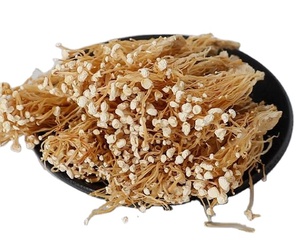 Hongo <span class=keywords><strong>Enoki</strong></span> de Tallo de Terciopelo, Flammulina Velutipes, Hongo de Invierno - Product Image 4