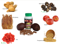 Capsules Aguaje Personnalisables avec Logo Privé pour l'Augmentation des Fesses et des Hanches, Amélioration du Volume des Fesses, 500mg, 60 Capsules, Adulte