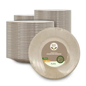 Biodegradable Plates Tomato Bagasse Paper Plate Food Safety Disposable Biodegradable Paper Dinner Plates 10 Inch Sugarcane Plate 125