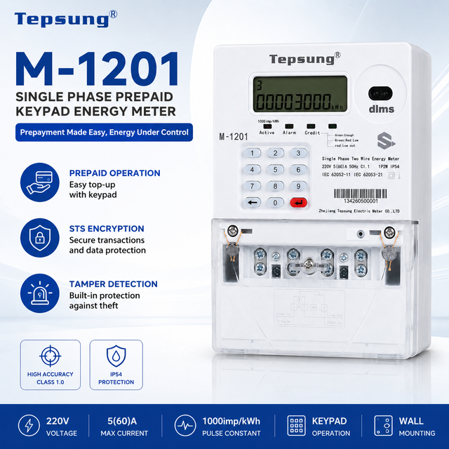 Tepsung M-1201 Series BS Type STS Single Phase Two Wire LCD Display RS485 Keypad Prepaid Digital Energy Meter Class 1.0