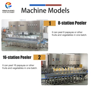 Machine à peler les mangues automatique à 8/16 têtes, machine à peler les mangues industrielle - Product Image 2